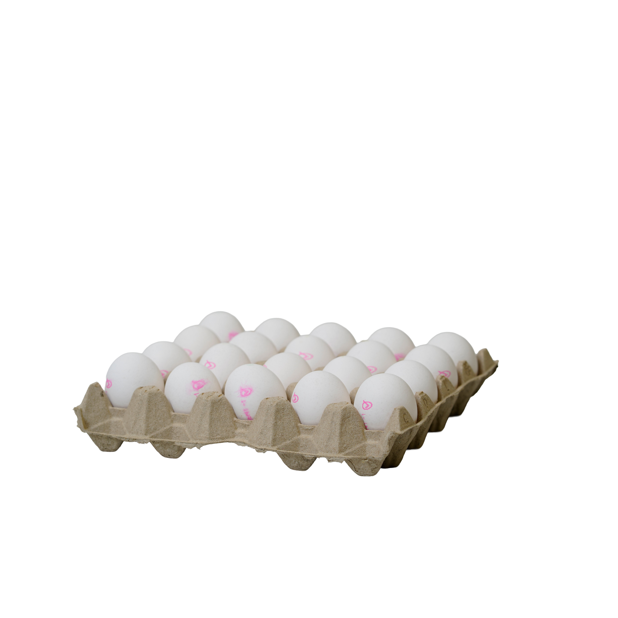 Ägg